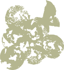 Vector (4)
