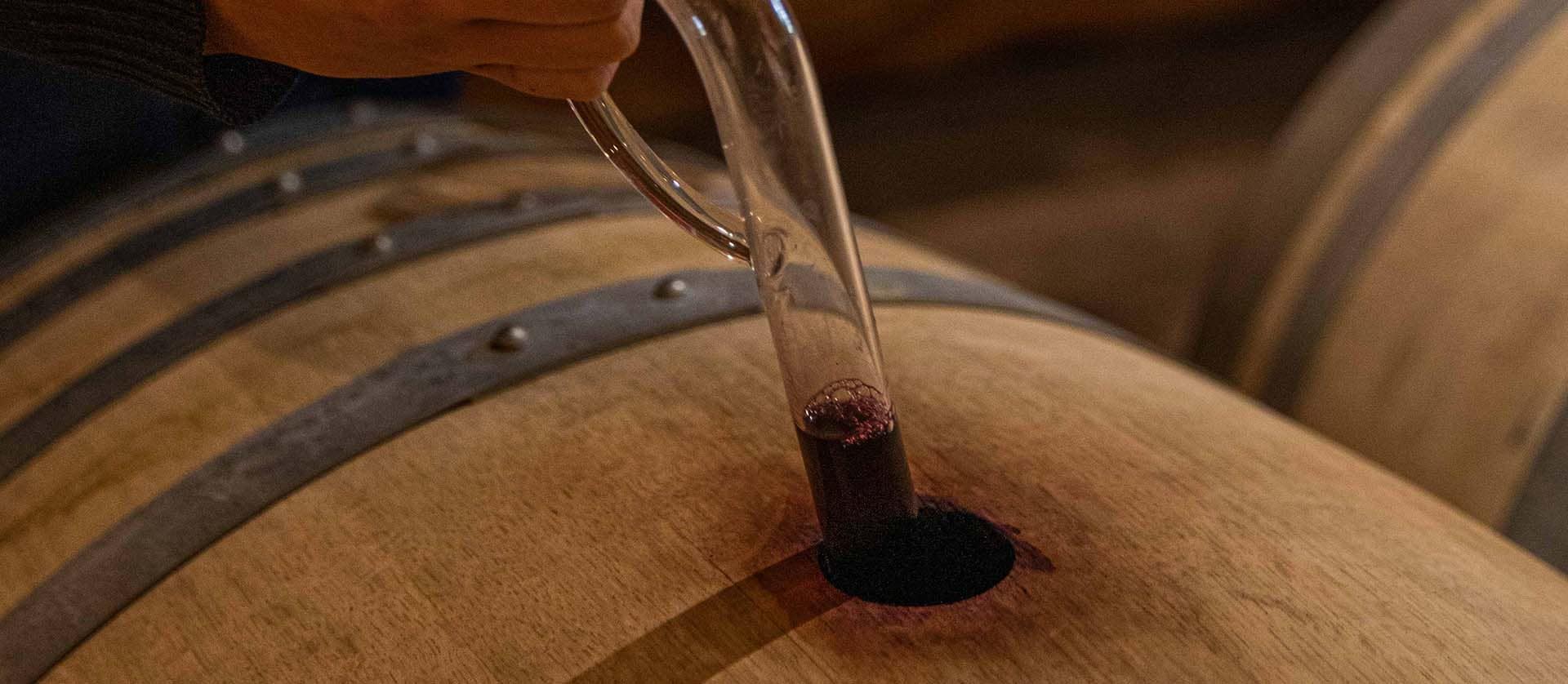 Lire la suite à propos de l’article Notes obtenues par les vignobles Invindia